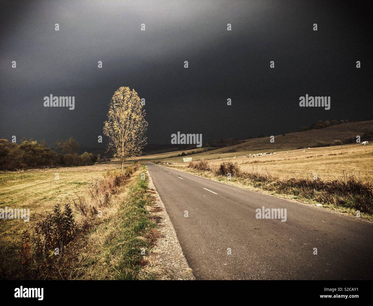 Road to the storm in Transylvania Stock Photo