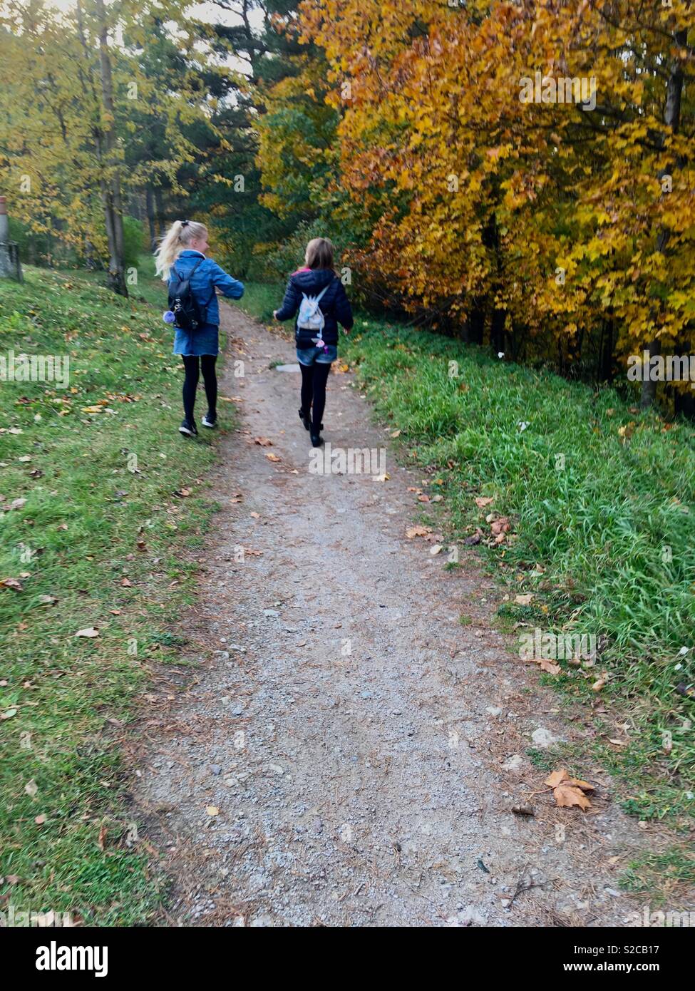 Friends - Smartphone Captured Stock Image