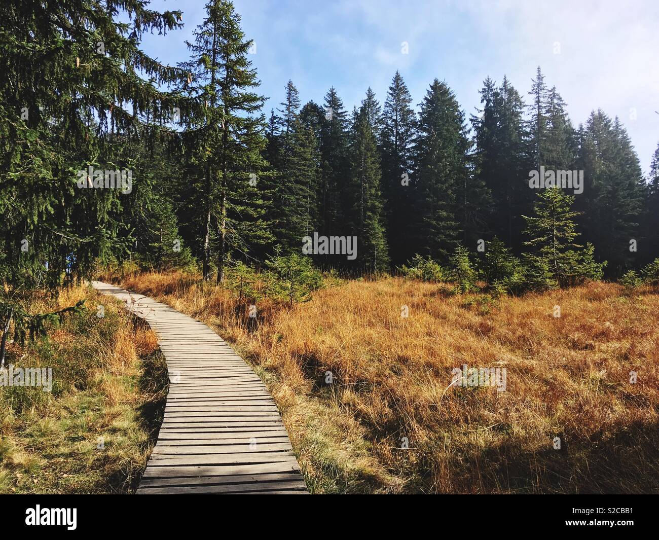 Footpath over a bog close to Soellereck near Oberstdorf, Germany Stock Photo