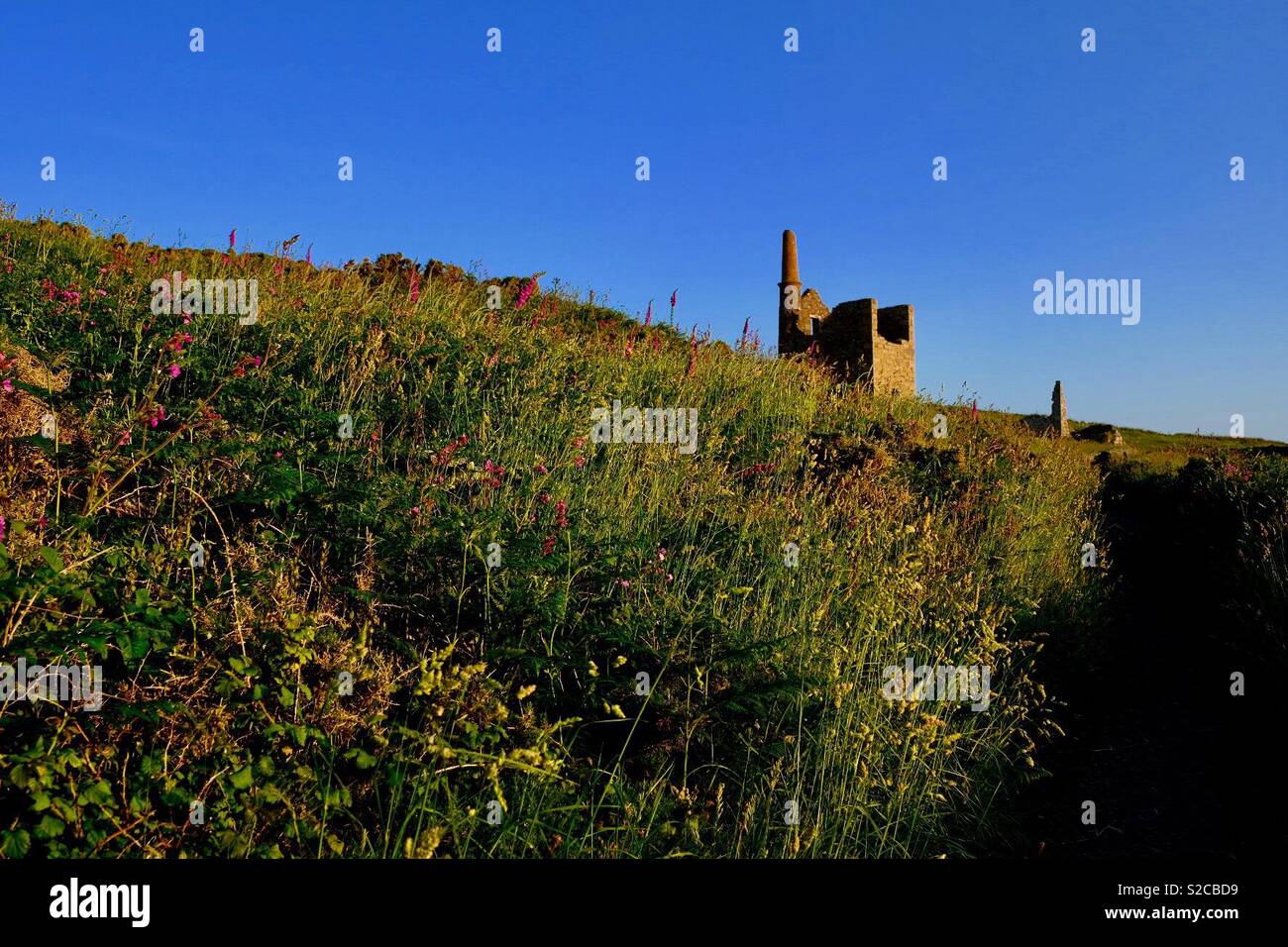 Cornish engine house Stock Photo Alamy