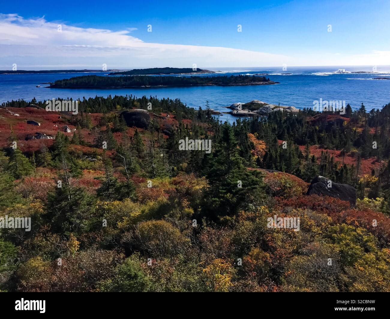 The Atlantic,old rocks, autumn shrubs, and ground cover. Stock Photo