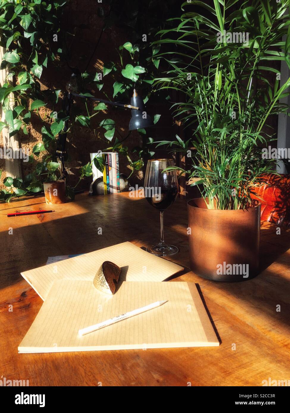 Loft Style Desk Or Work Space With Lots Of Plants And Bright