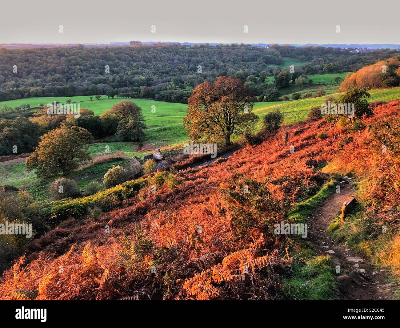 View down a path up the Garth mountain looking towards Pentyrch, early morning, October, Cardiff, South Wales . - Smartphone Captured Stock Image