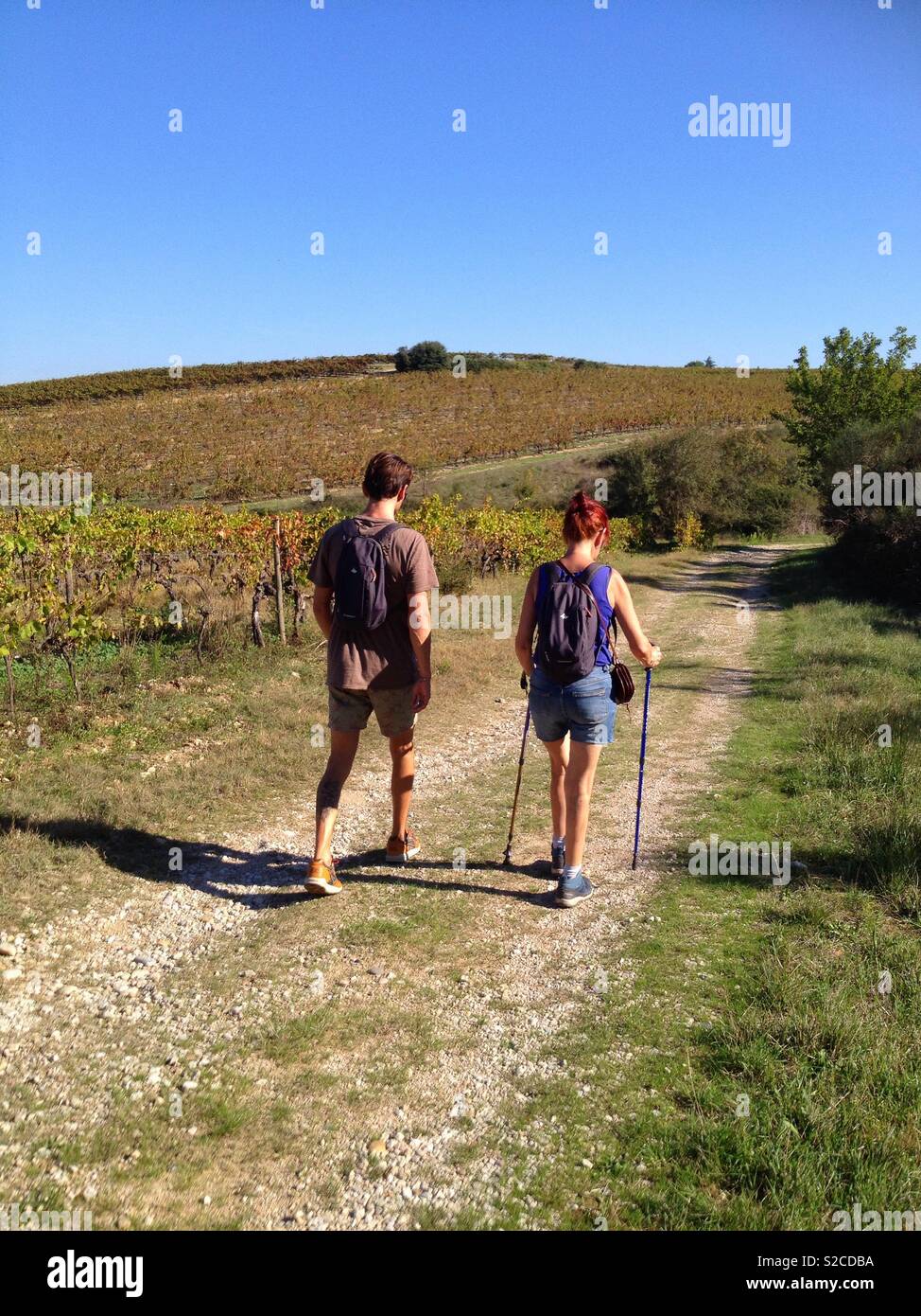 Hiking in the vineyard of St Christol near Montpellier, Occitanie France Stock Photo