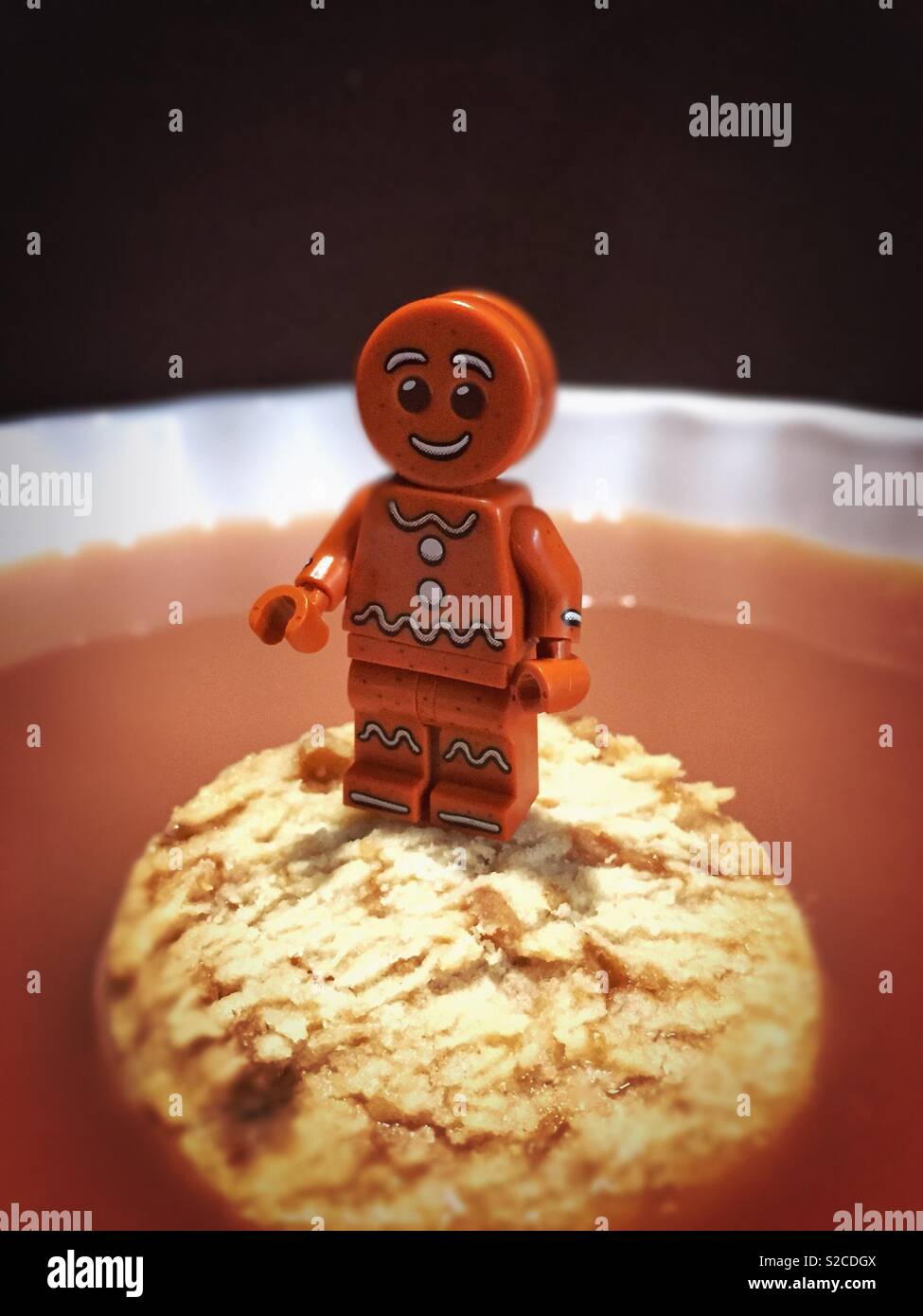 Cup of tea and biscuit break Stock Photo Alamy