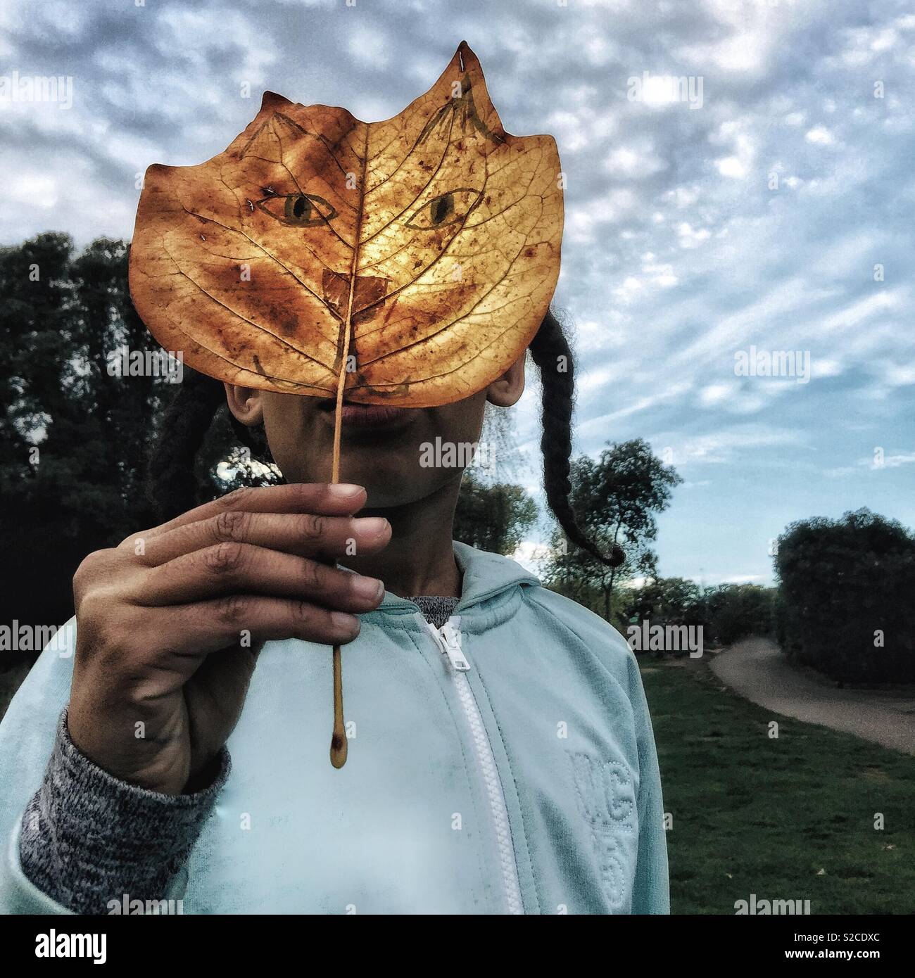 A child with a face painted leaf. Stock Photo