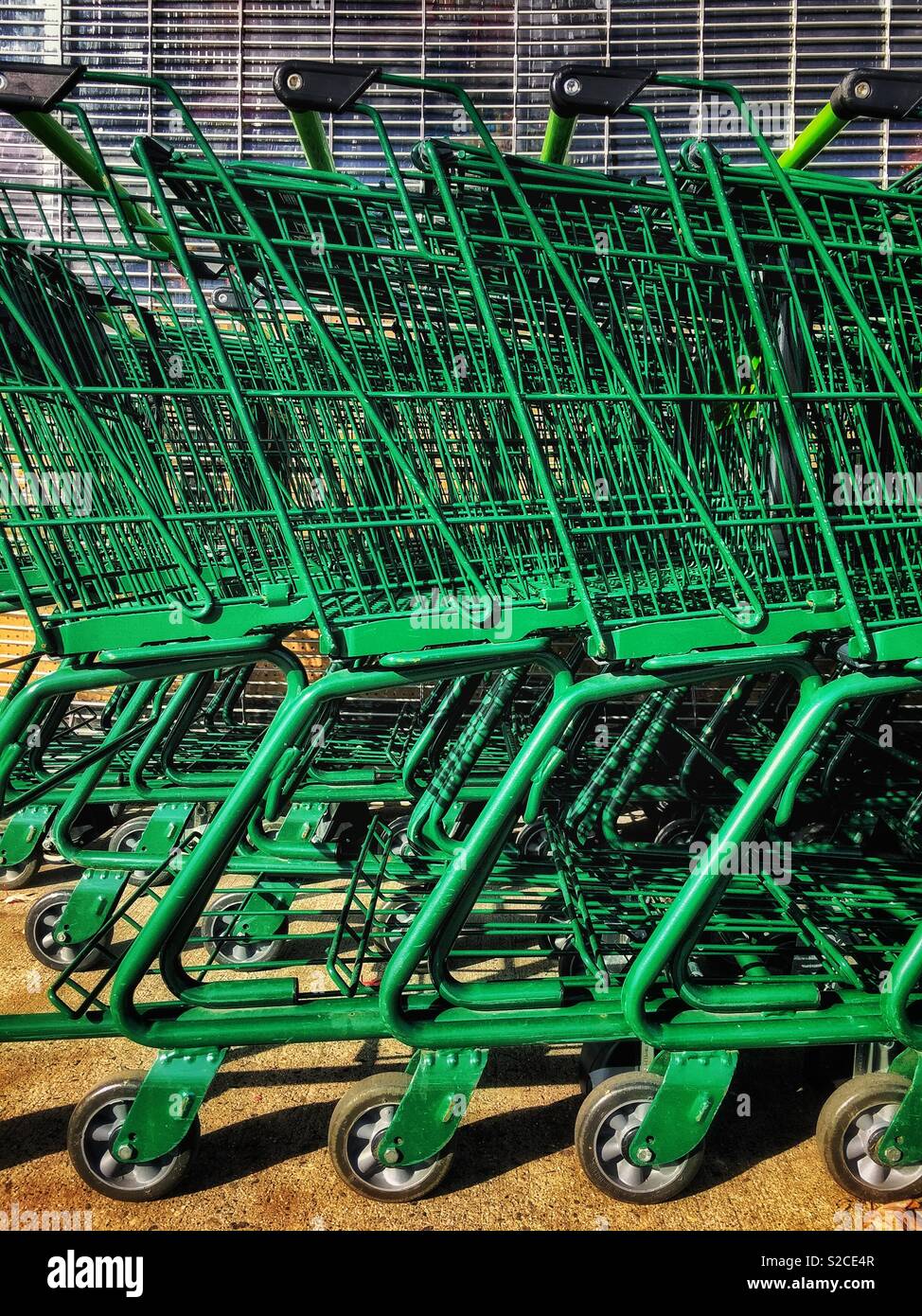 Parked green shopping trolleys at a grocery supermarket. Stock Photo