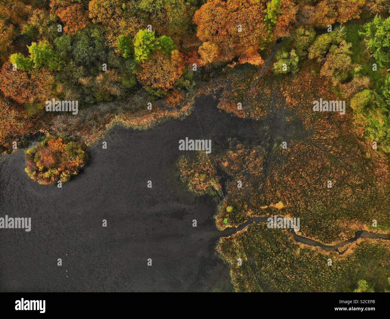 Aerial shot of yew tree tarn in Cumbria in autumn showing trees in autumn colours - Smartphone Captured Stock Image