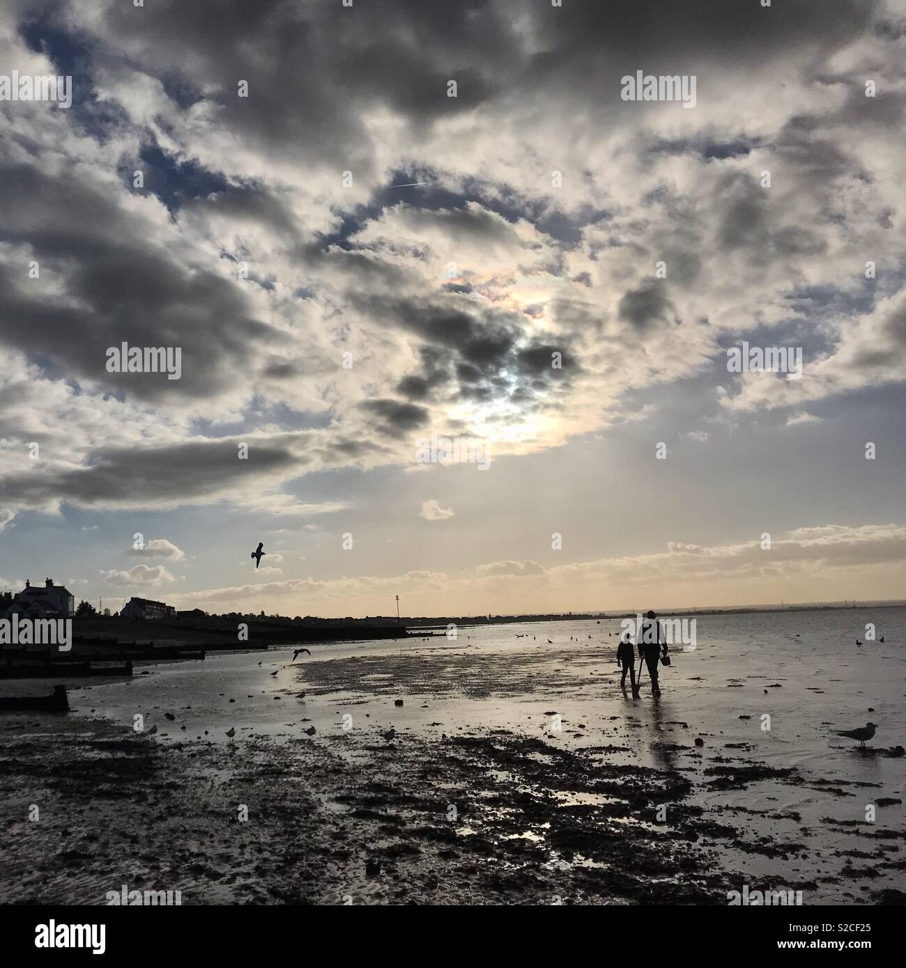 People in a beach at low tide - Smartphone Captured Stock Image