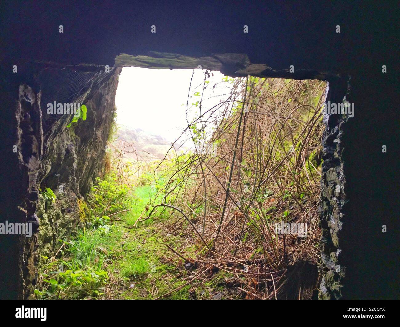 Manganese mine hires stock photography and images Alamy