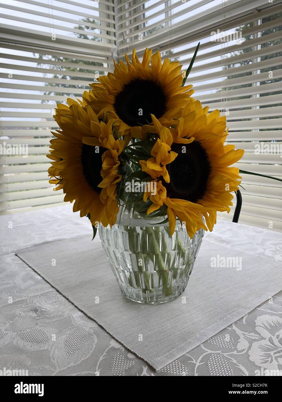 Sunflowers in a vase Stock Photo Alamy