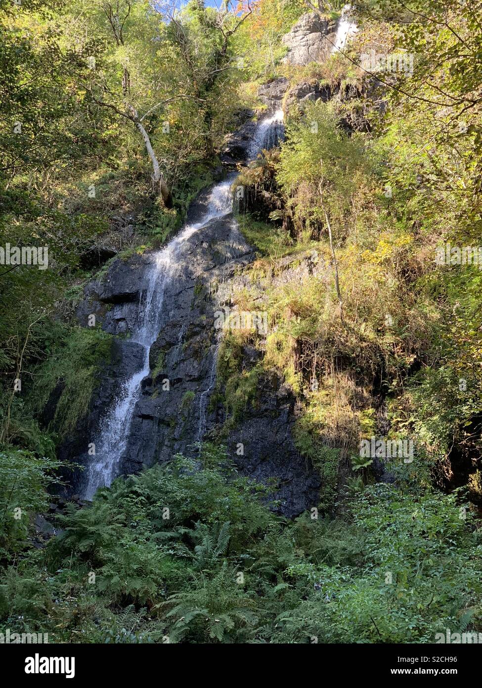 Canonteign falls near Dartmoor national park Devon Stock Photo Alamy