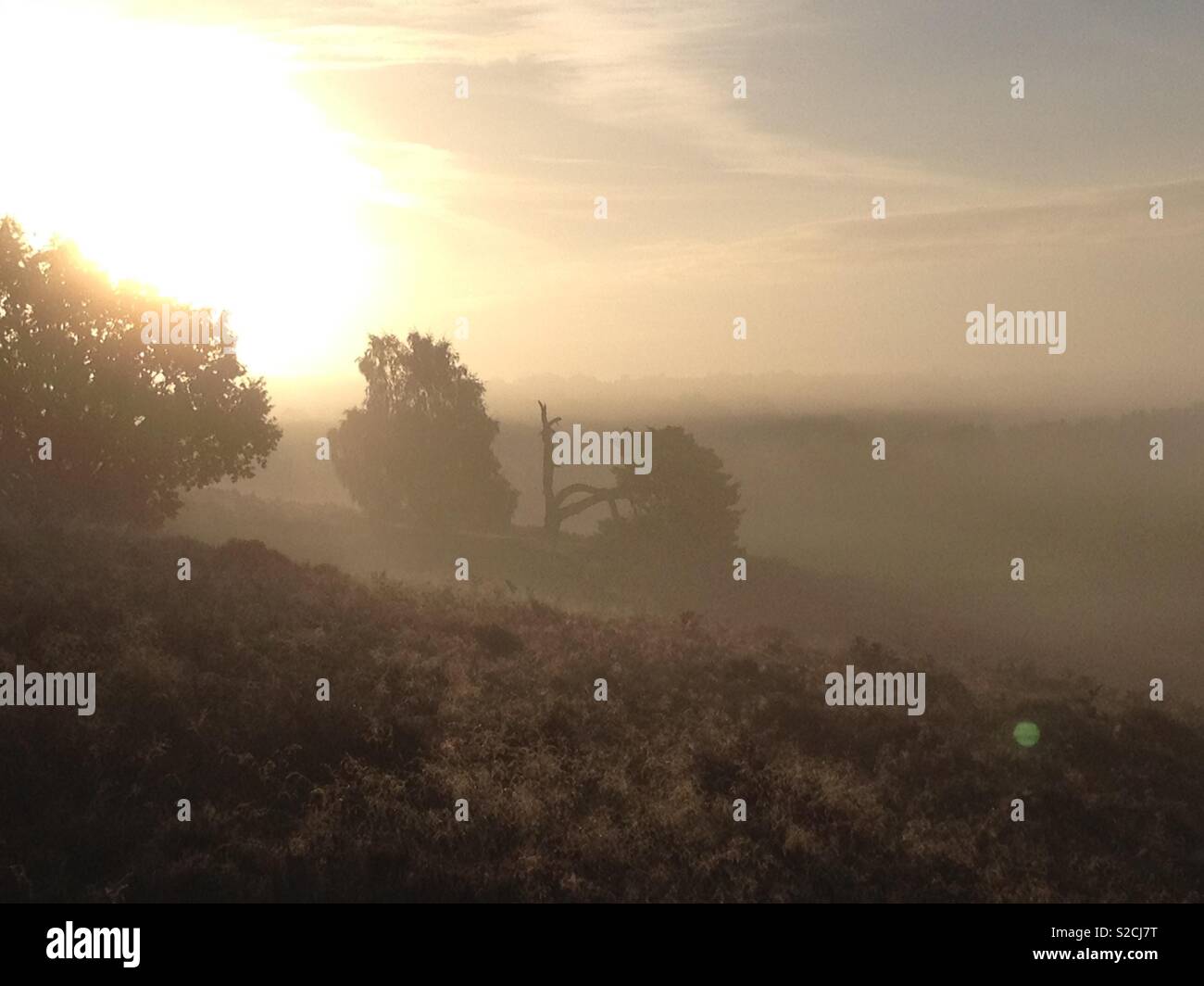 Misty sunrise over surrey hills Stock Photo