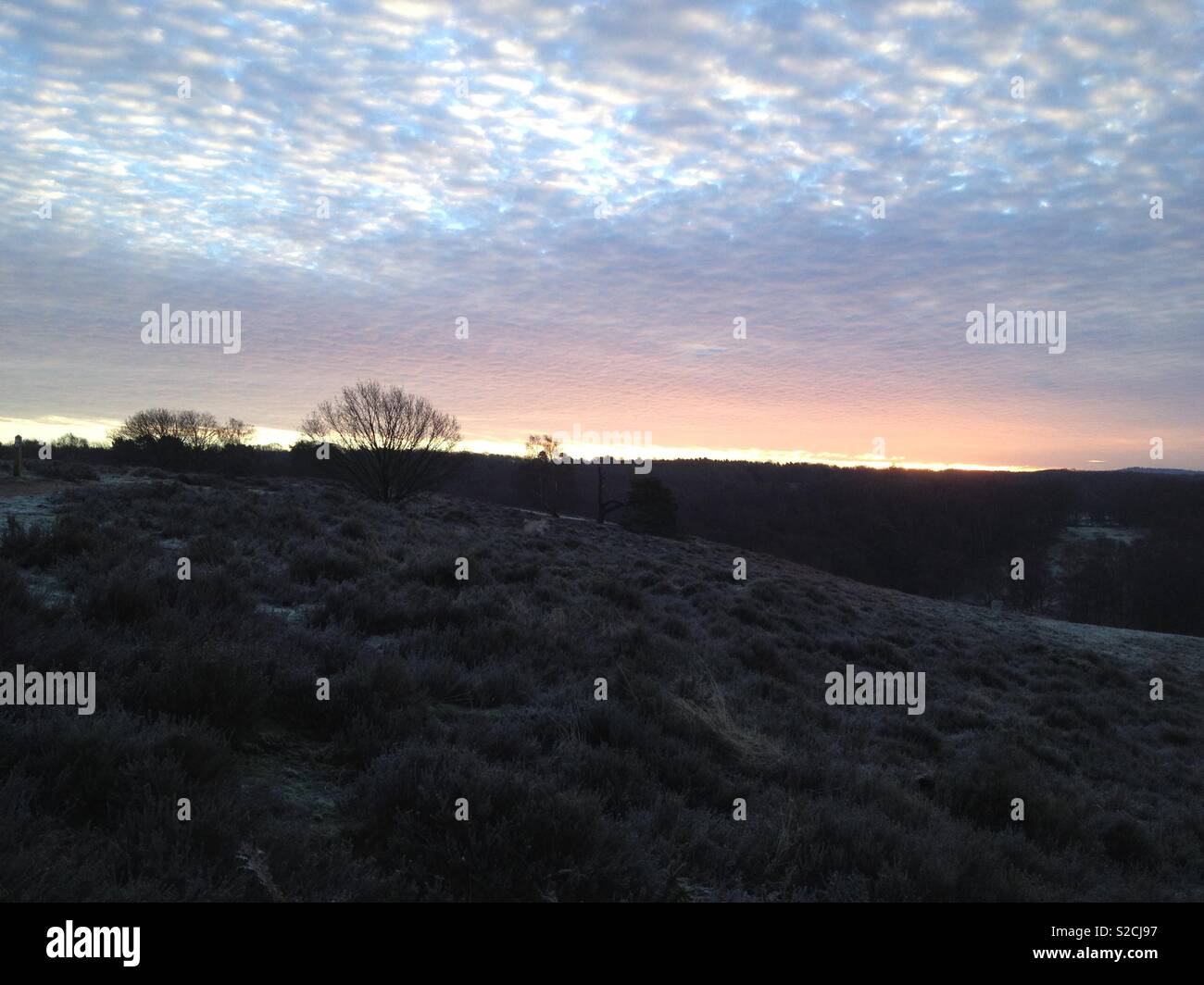Frosty sunrise with marbled sky Stock Photo