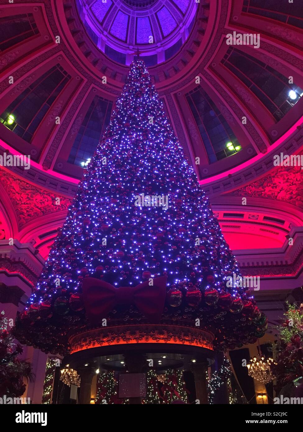 Christmas tree done Edinburgh Stock Photo Alamy