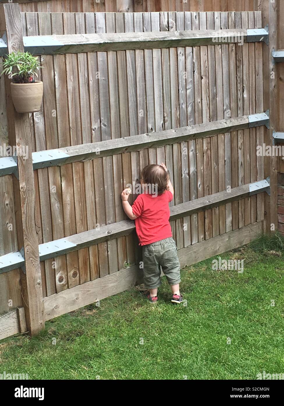 Toddler nosey neighbour! Stock Photo