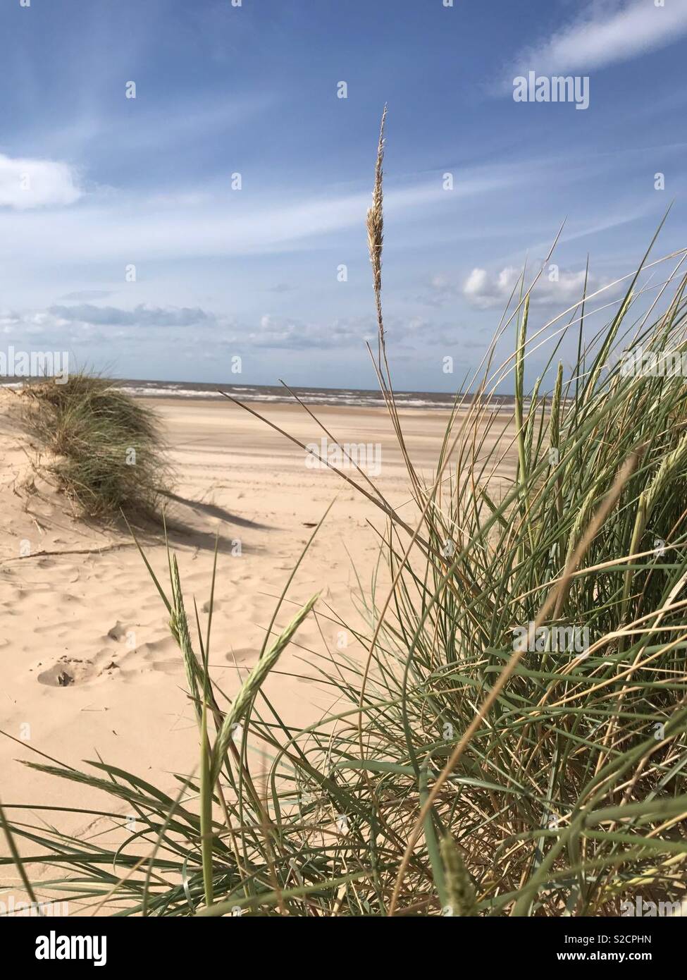 Norfolk, Sandy Beach Stock Photo Alamy