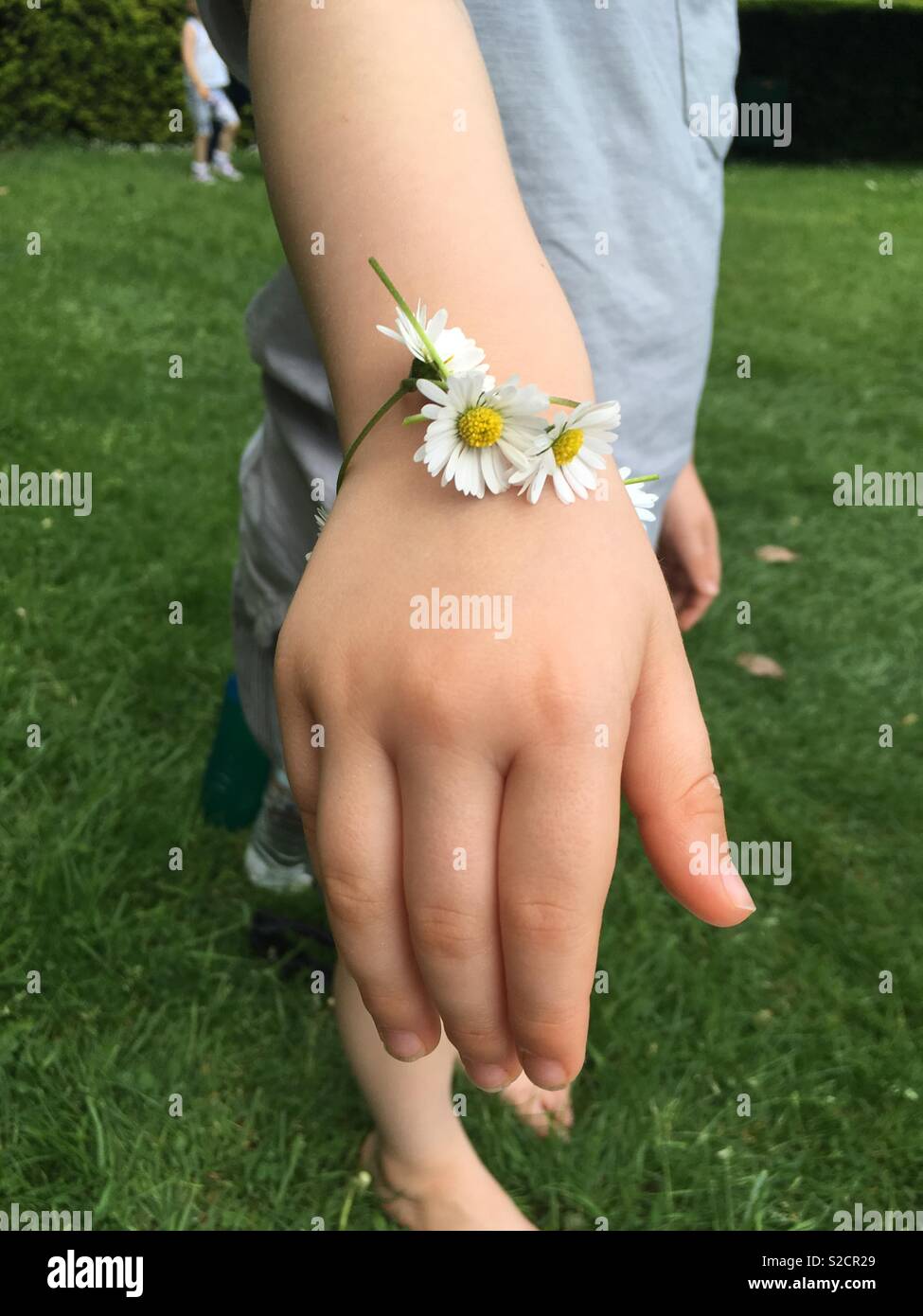 Daisy chain hires stock photography and images Alamy