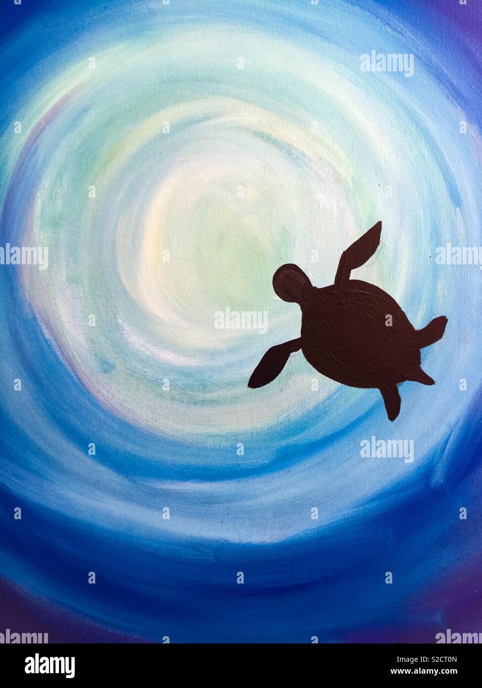 A turtle in a water hole - Smartphone Captured Stock Image