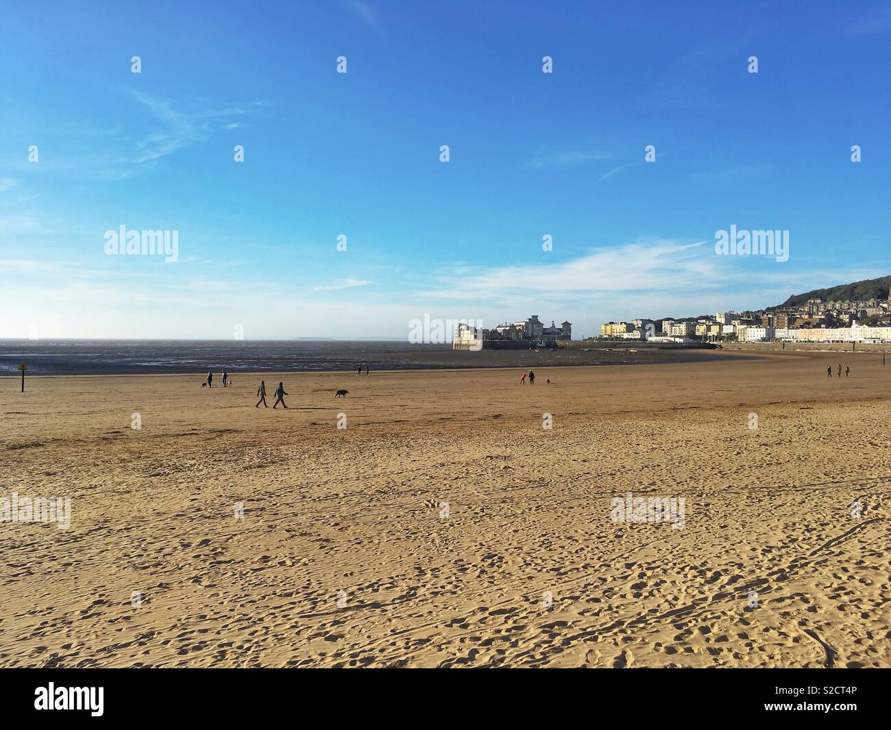 Walkers and their dogs in the beach on a sunny but chilly October afternoon in Weston-super-Mare, UK - Smartphone Captured Stock Image
