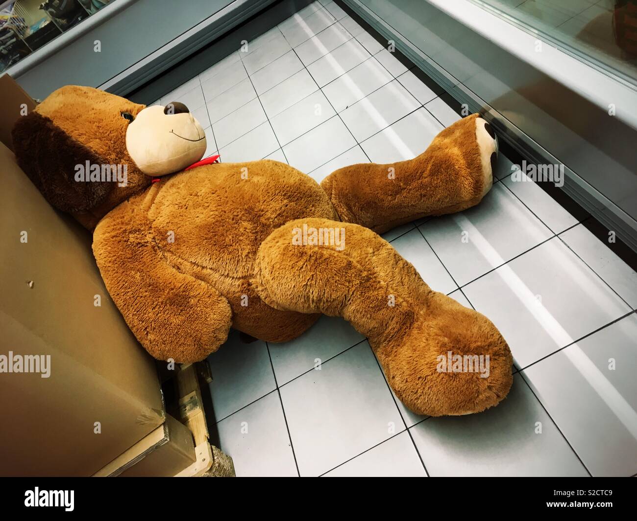 Teddybear Stock Photo