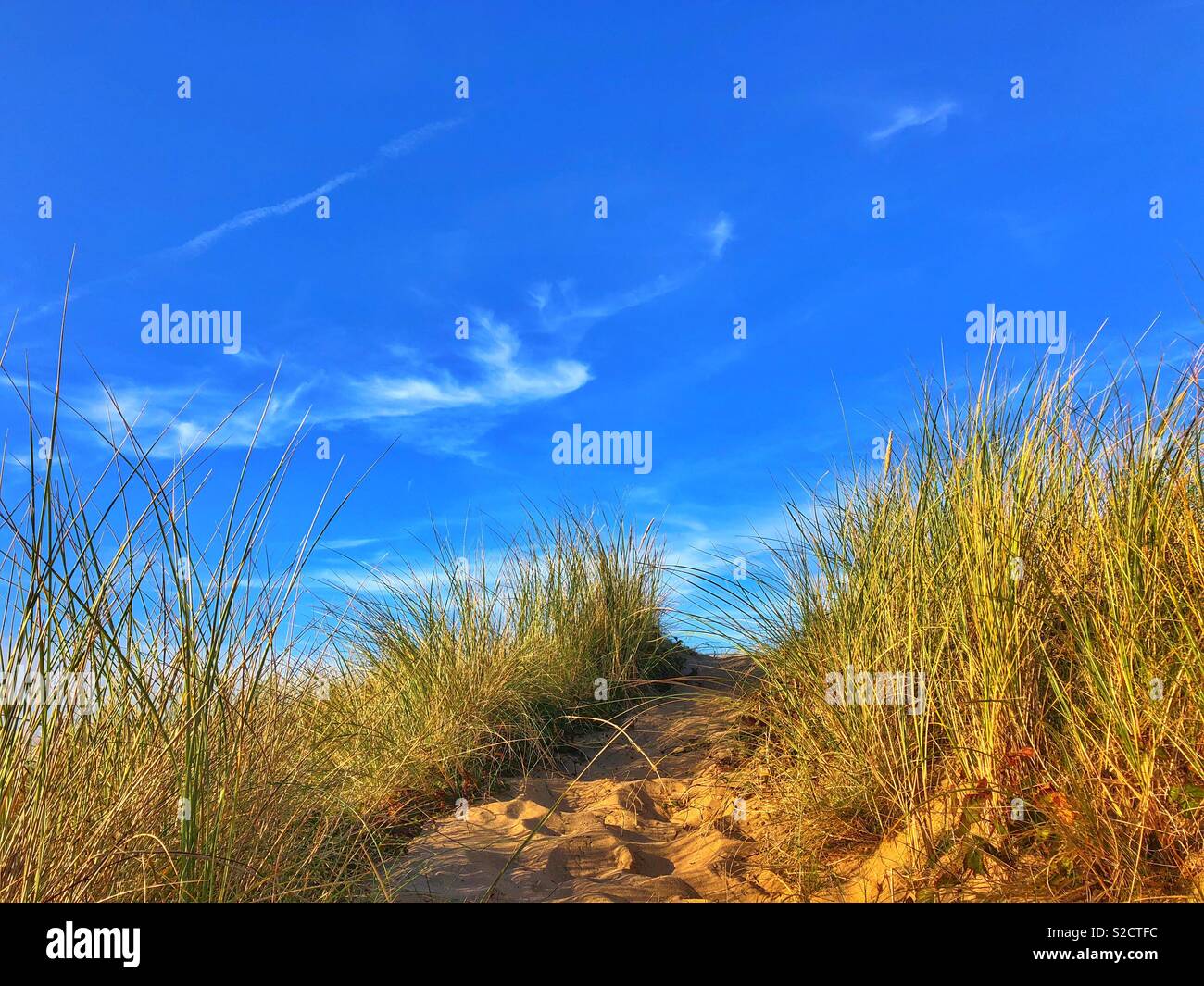 Sand dunes and blue sky, Gower, Wales, October. - Smartphone Captured Stock Image