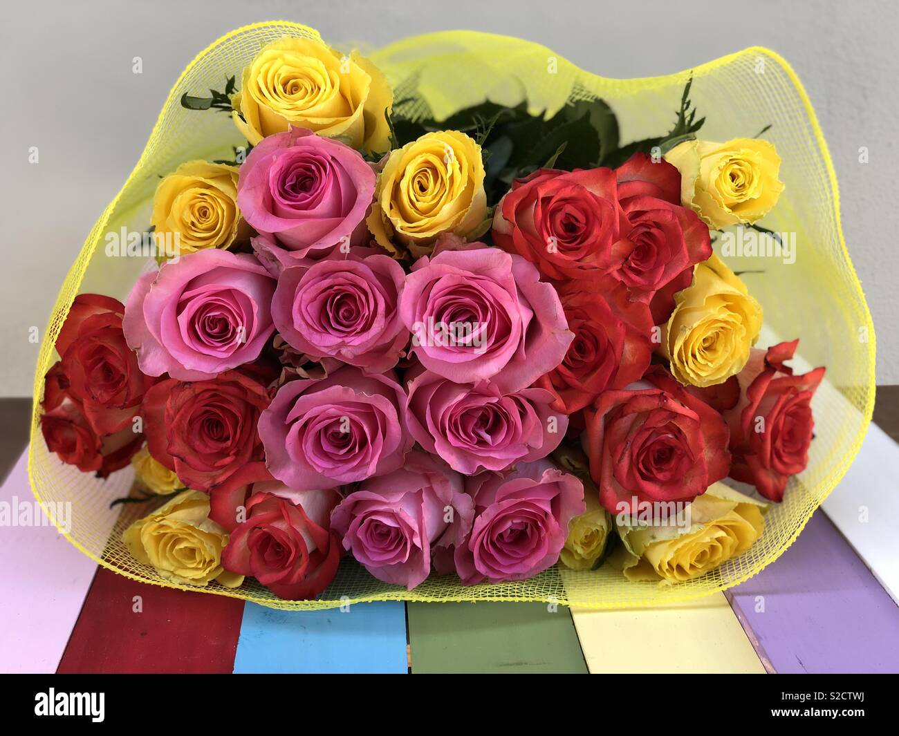 Pink, red and yellow roses Stock Photo