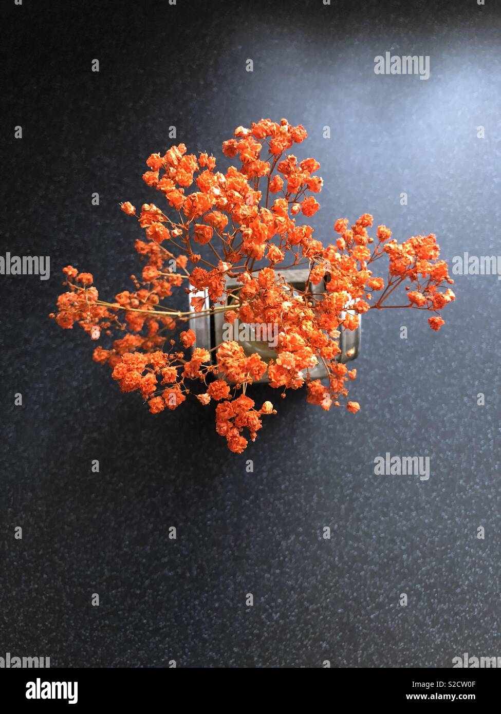 Burnt orange hires stock photography and images Alamy