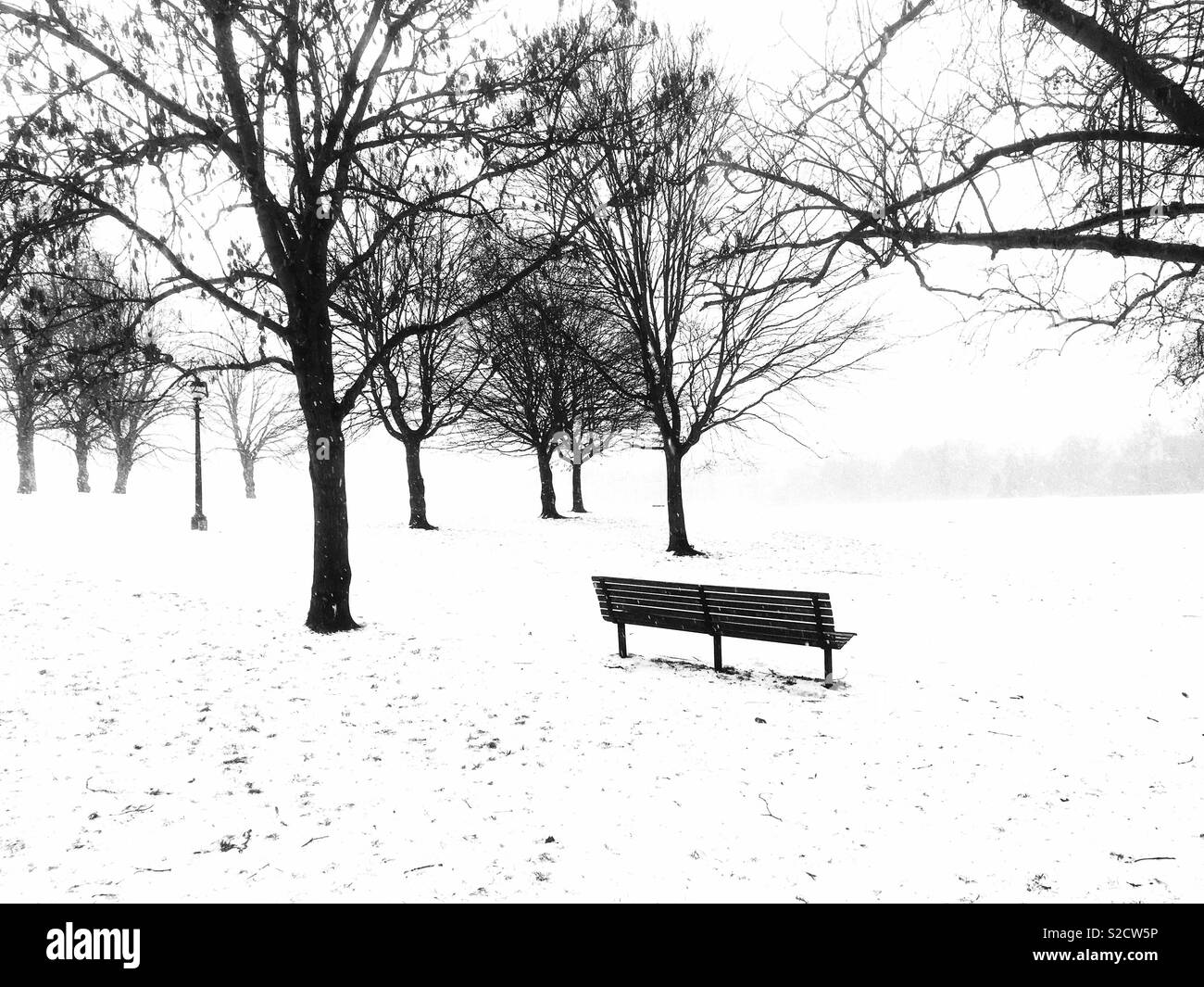 Primrose Hill, London Stock Photo Alamy