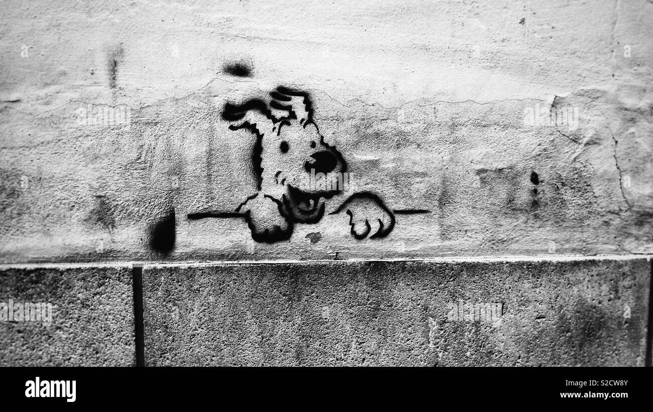Street art of dog from Tintin Stock Photo