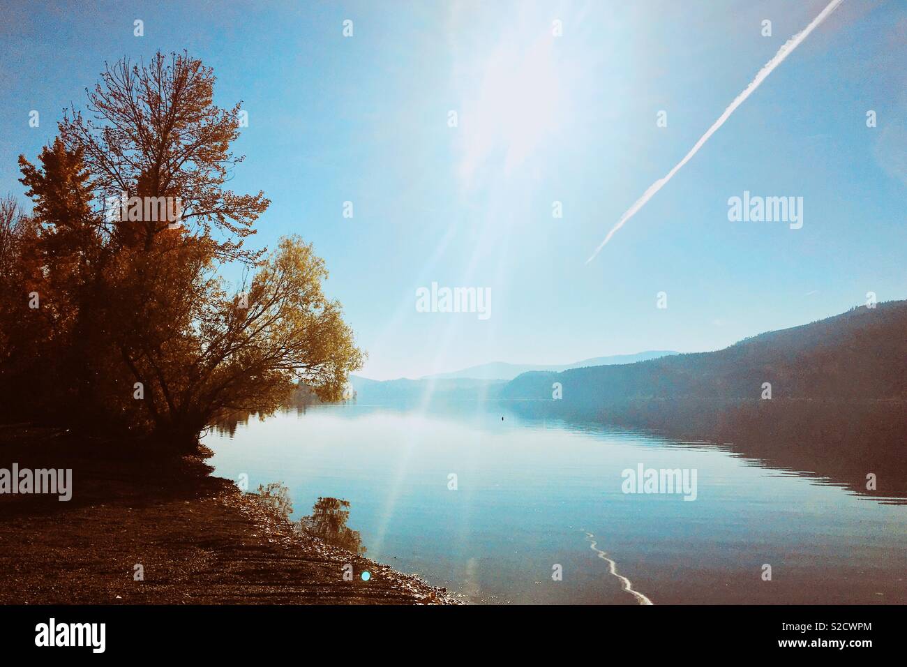 Autumn landscape with sun light bouncing off calm lake with tree covered in yellow fall foliage. Space for copy. - Smartphone Captured Stock Image