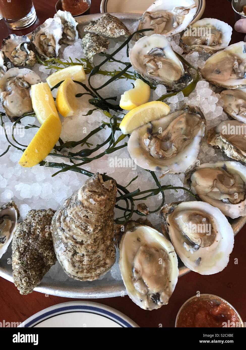 Oysters on the half shell Stock Photo Alamy