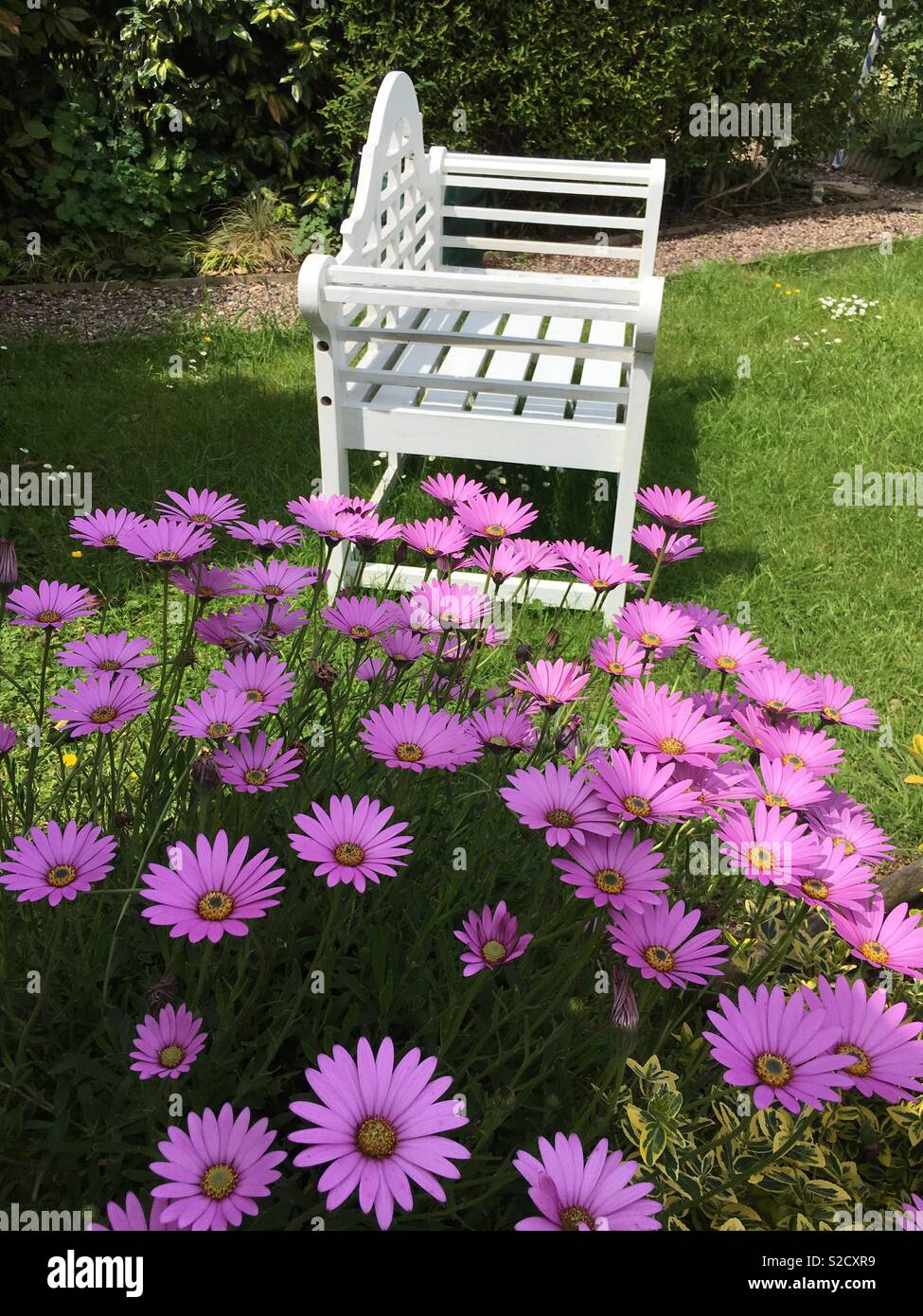 Ornate bench hires stock photography and images Alamy