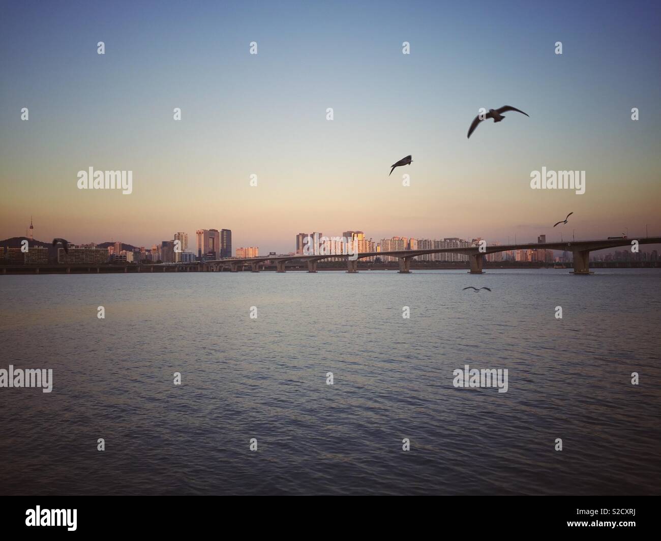 A road bridge over The Han River in Seoul, South Korea at sunset. - Smartphone Captured Stock Image