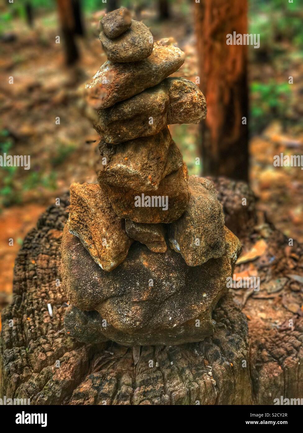 Rock Art Stock Photo