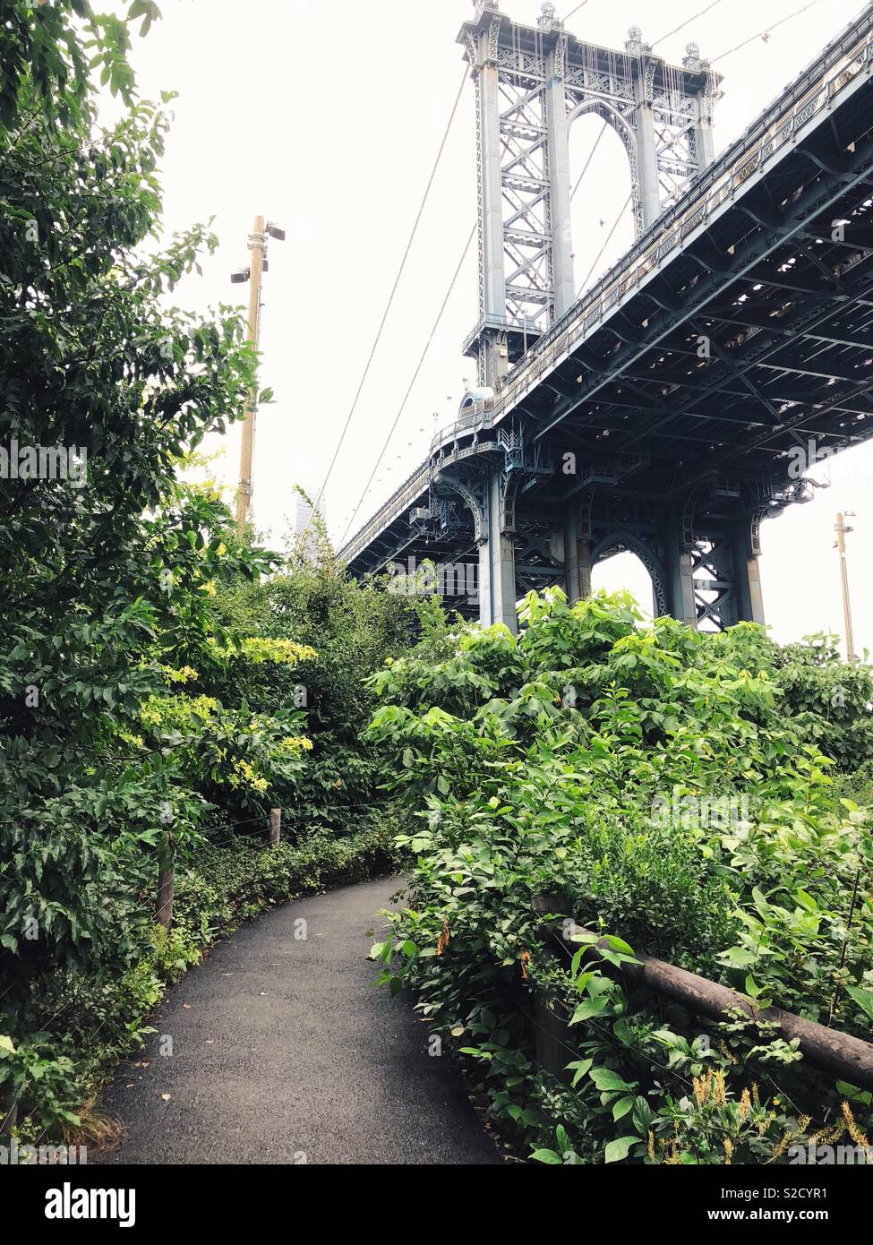 Path through greenery under the Manhattan Bridge, Dumbo, Brooklyn. - Smartphone Captured Stock Image