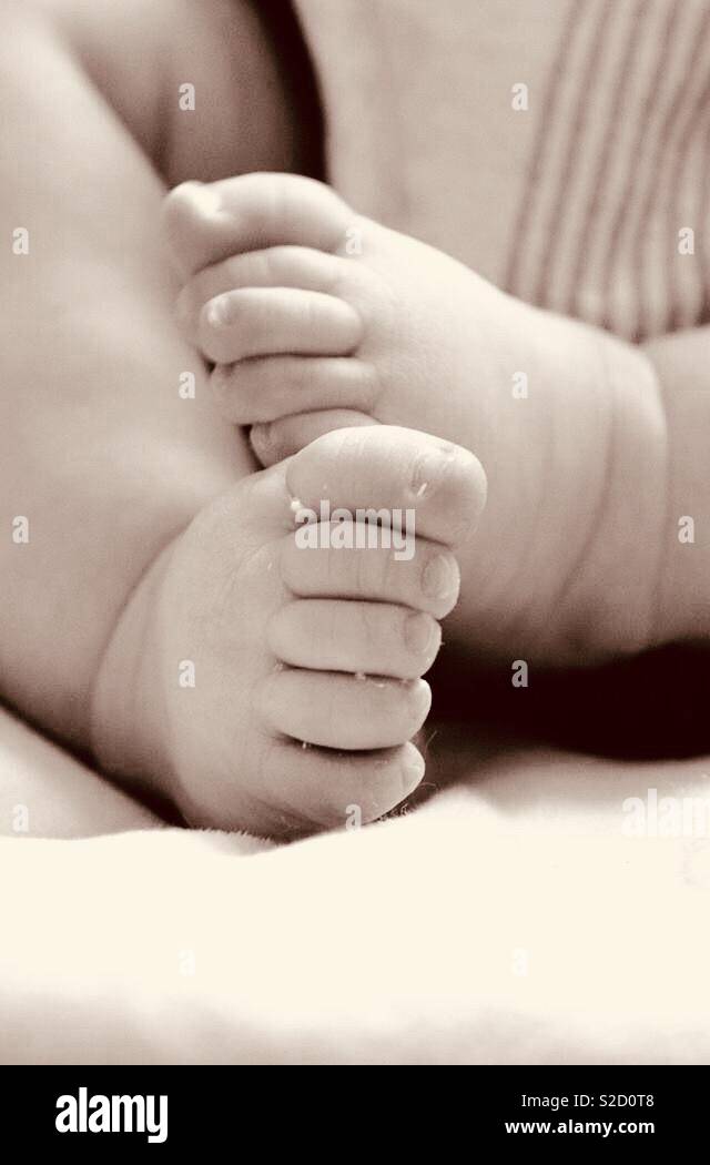 New born toes Stock Photo