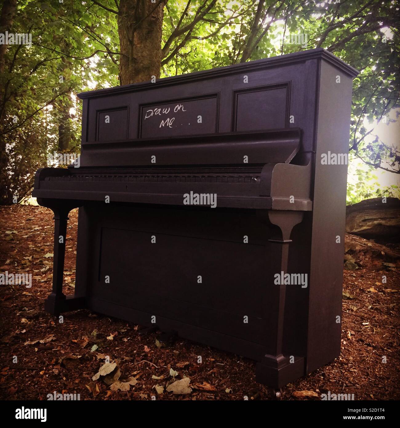Piano in the forest hi-res stock photography and images - Alamy