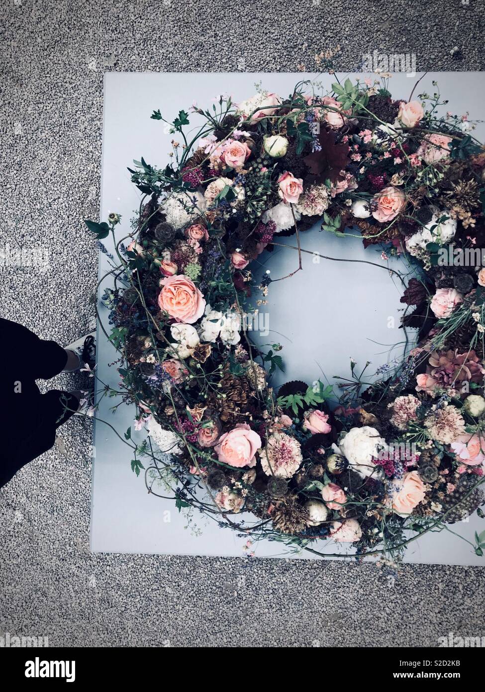 Floral wreath with pink roses, top view - Smartphone Captured Stock Image