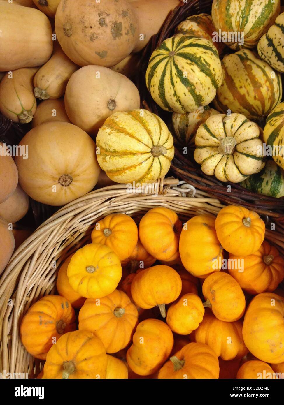 Sale of organic cucurbits in a shop Stock Photo