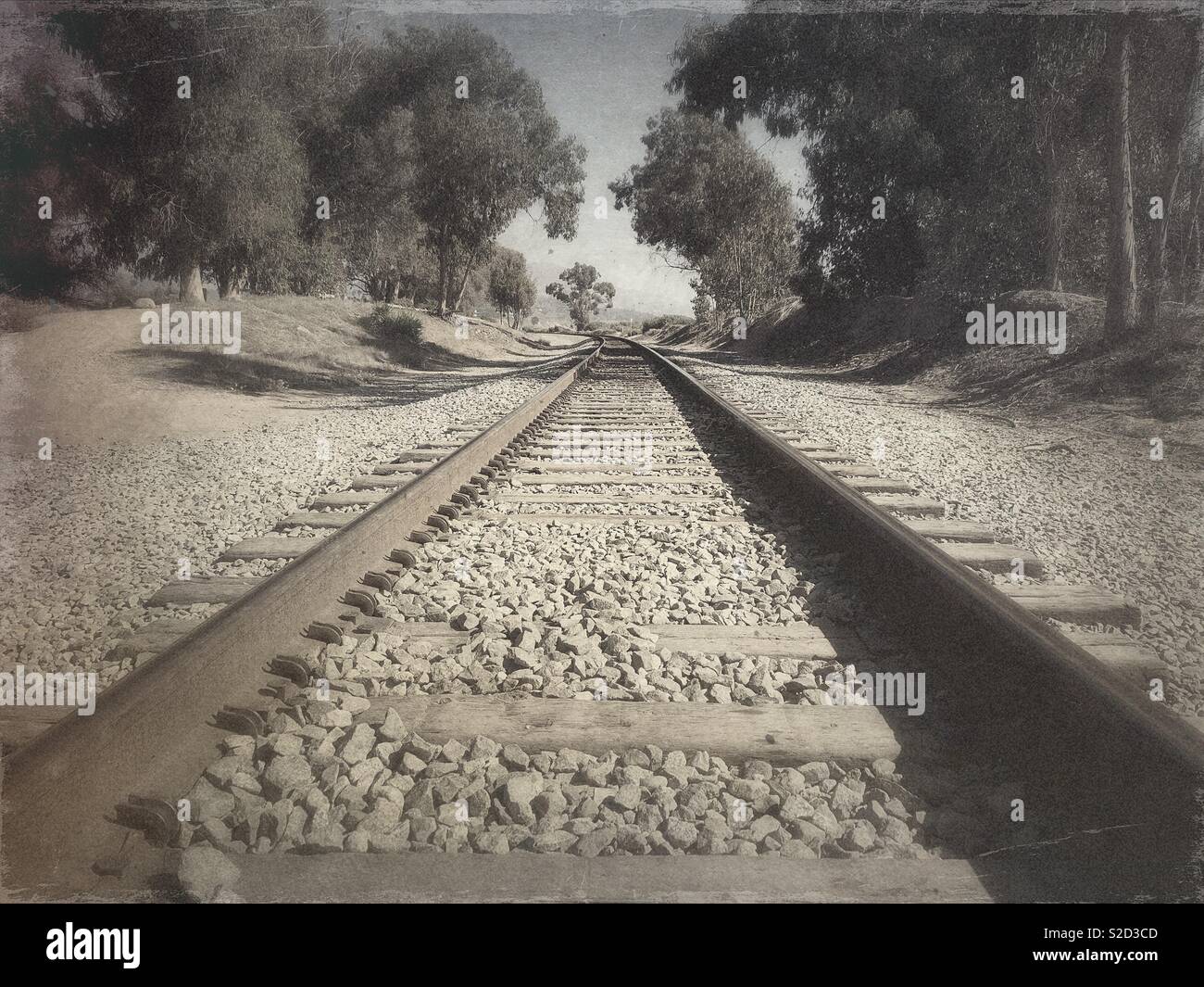 Low angle view of rail tracks with distant trees in California, October 2018 but vintage-style processing - Smartphone Captured Stock Image