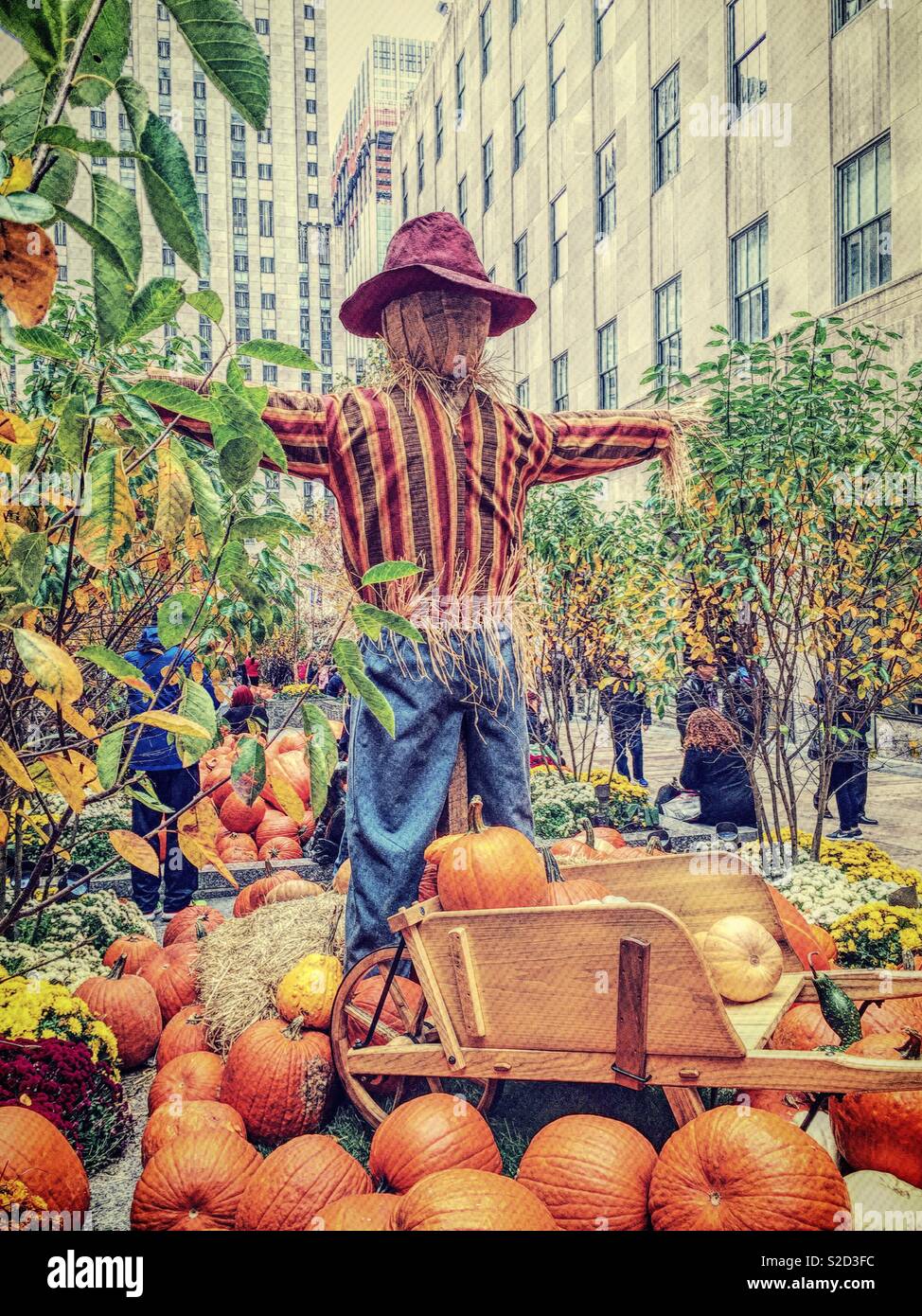 Colorful autumn display with scarecrow, wheel barrel and pumpkins in Rockefeller Center, NYC ,United States - Smartphone Captured Stock Image