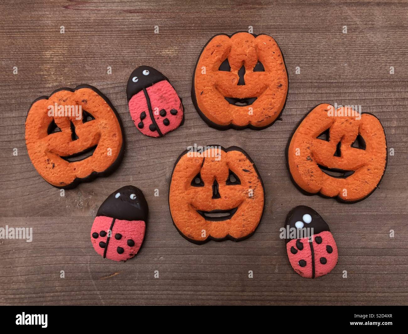 Homemade pastry cookies for Halloween in the form of pumpkins and ladybugs - Smartphone Captured Stock Image