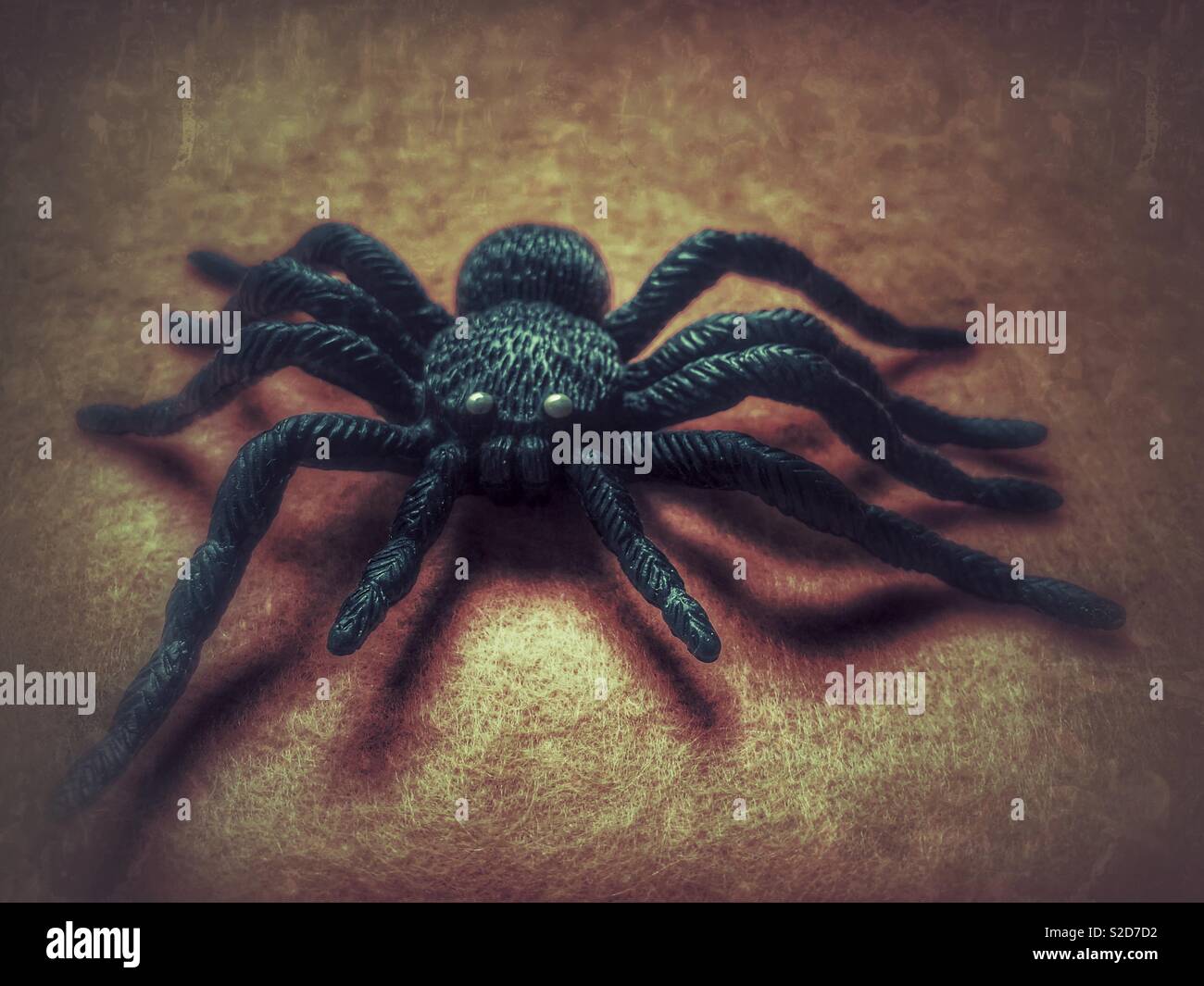 Hallowe’en themed big black spider on a dull grunge background - Smartphone Captured Stock Image
