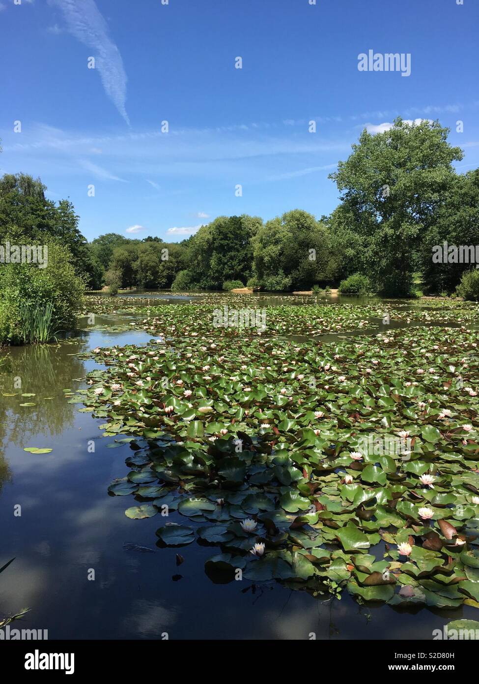 Horley Surrey High Resolution Stock Photography And Images Alamy