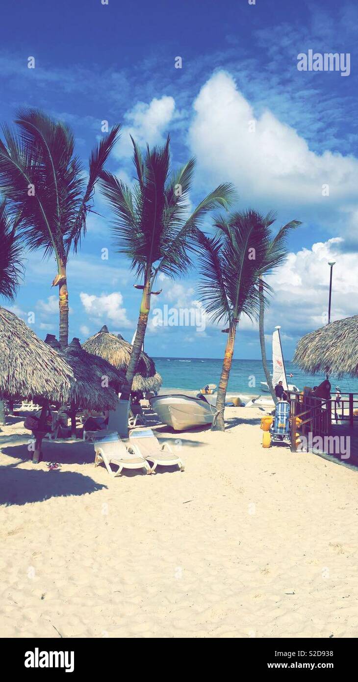 Sun beds in paradise - Smartphone Captured Stock Image