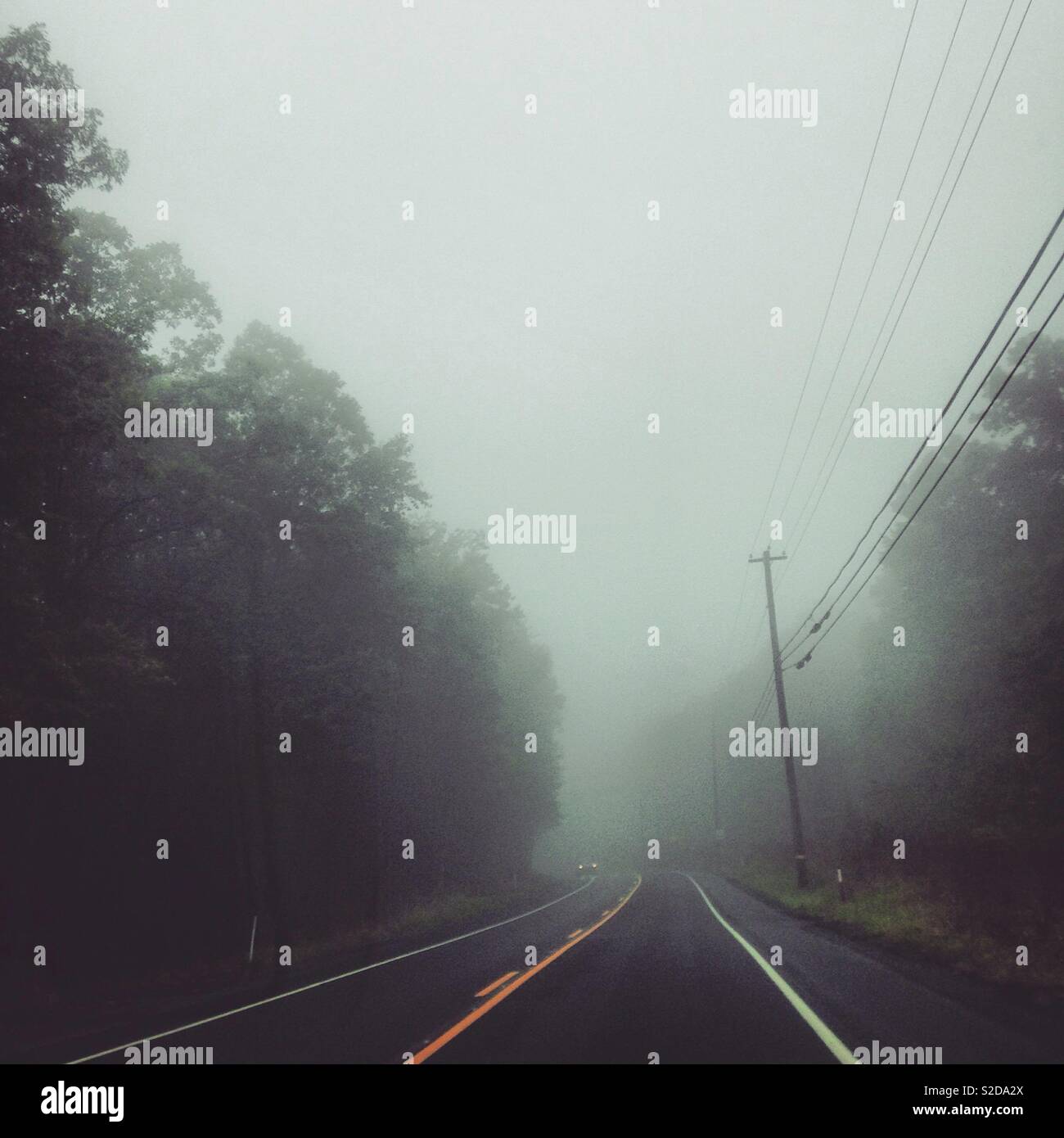 Foggy road, fog, travel, mysterious, spooky - Smartphone Captured Stock Image