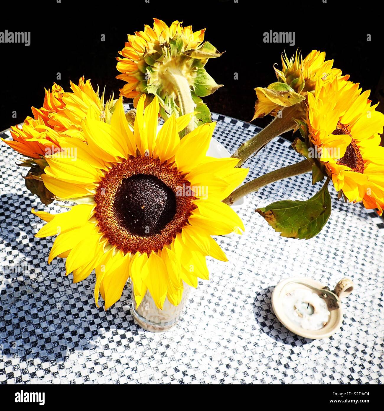 Sunflowers, Sussex, UK, July 2018 Stock Photo Alamy