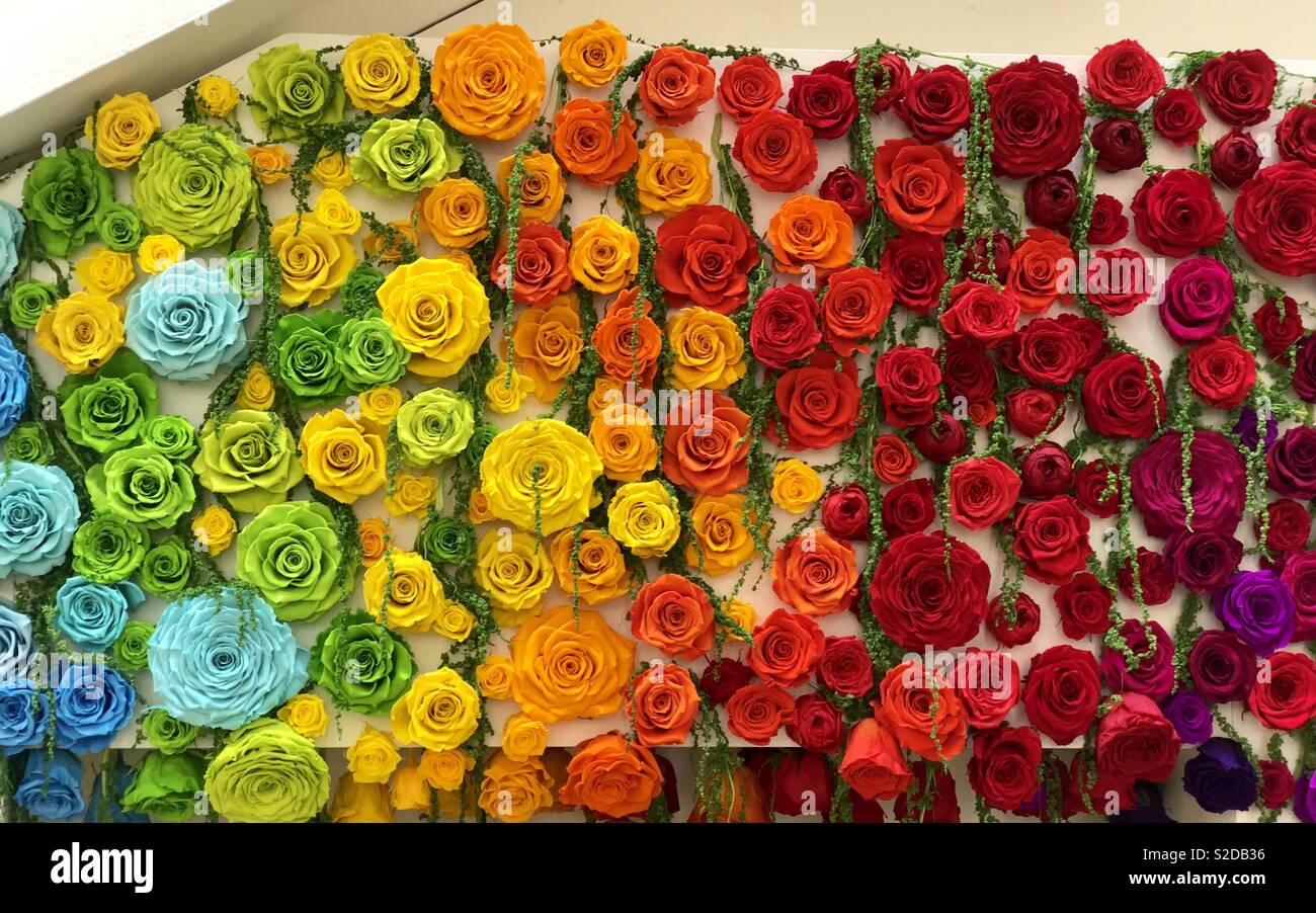 Beautiful Natural colored roses naturally preserved, sold in Bluewater