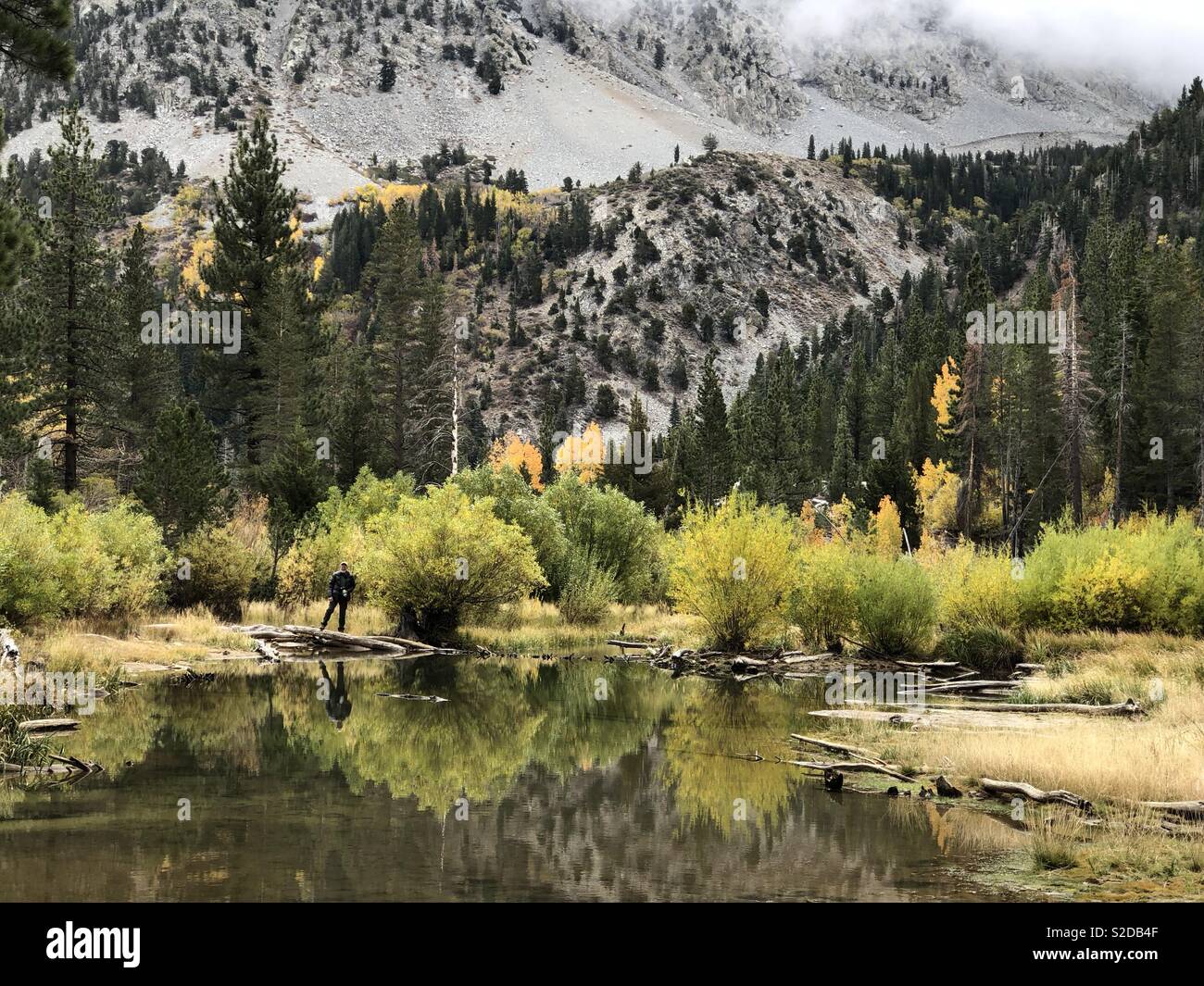 Hiker looking at reflection at Lundy Lake in the Eastern Sierra Nevada, California. Aspen and pine trees are cloaked in fall colors. - Smartphone Captured Stock Image